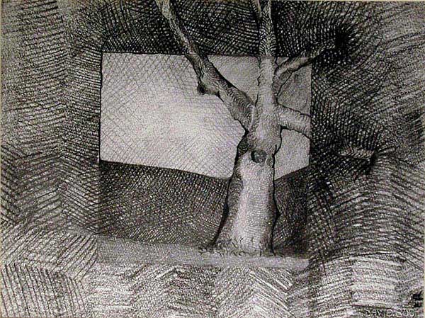 click on image to visit David Booker drawings gallery